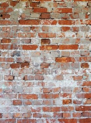 Mildew wine cellar and bricks